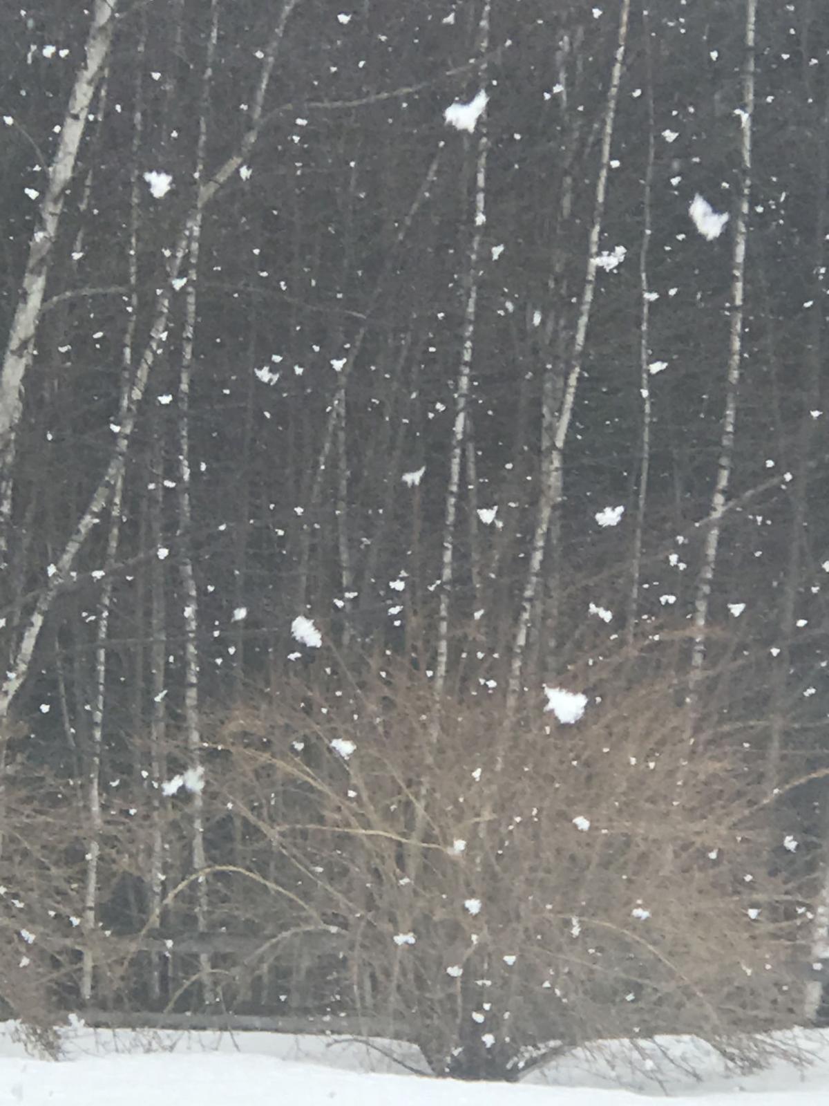 Reader Pics: March 27