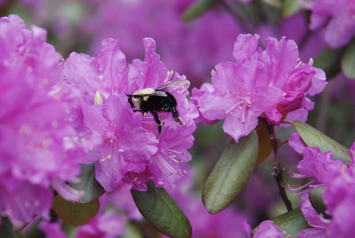 Reader Pics: May 15