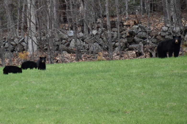 Reader Pics: May 5