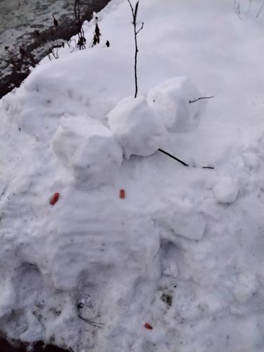 Reader Pics: Jan. 13