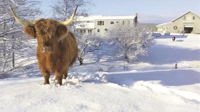 01-03 OUTDOORS Angel-Adjusted-1.jpg