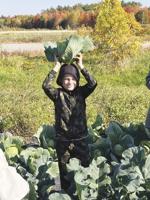 Religious school families glean the fields for those in need of fresh produce