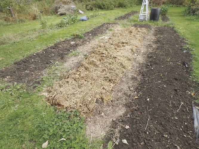 10-12 FALL HOME Mulch.jpg