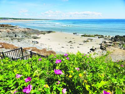 The Marginal Way