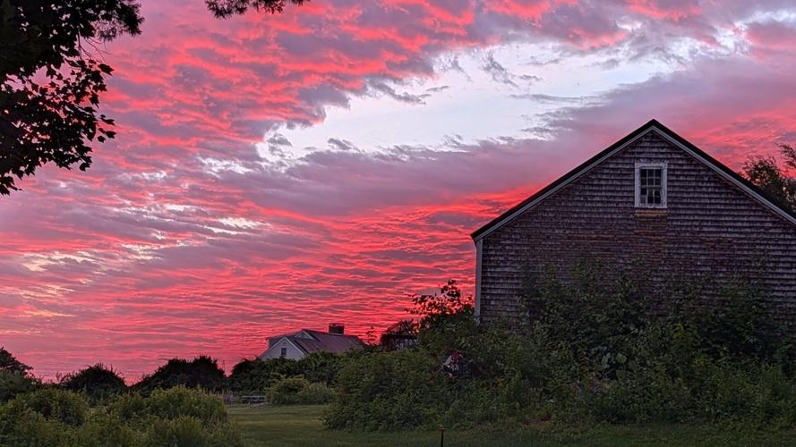 Reader Pics: July 29