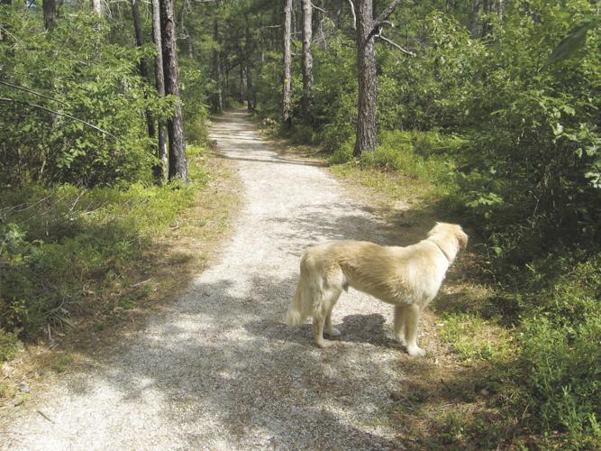 09-06 OUTDOOR IMG_3377.jpg