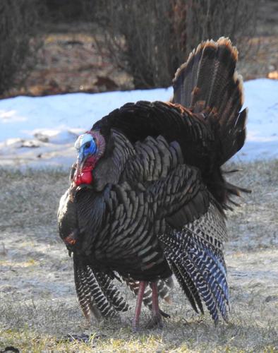 Reader Pics: April 10