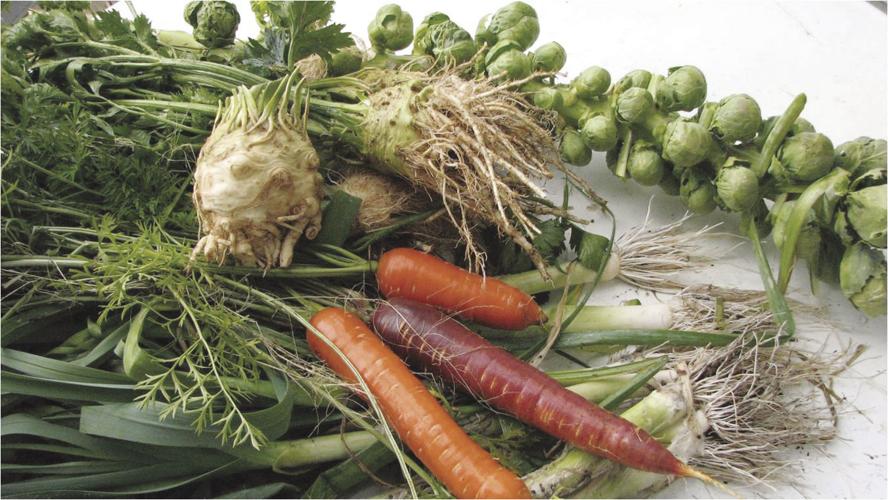 05-23 HOME Celeriac with carrots, leeks and Brussels sprouts3.jpg