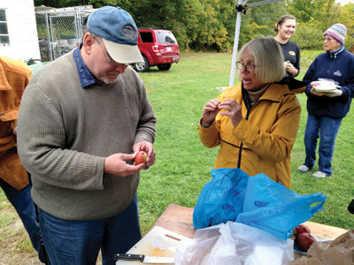 The Apple Project - Program finds Thomas Jefferson's favorite apple, the Spitzenburg, growing in NH (546+2pics).