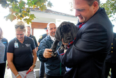 Case of the Great Danes inspires support from Sununu