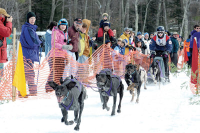 The last sled dog race at Lake Chocorua