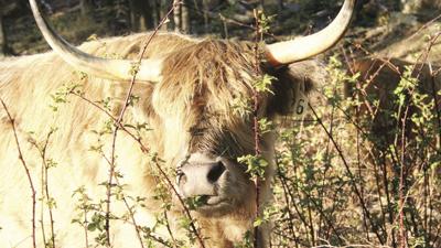 07-06 OUTDOOR Kelsie8-.jpg