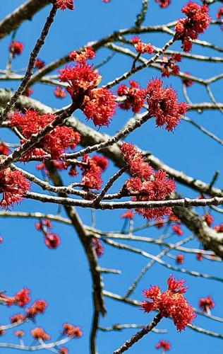 Reader Pics: April 23