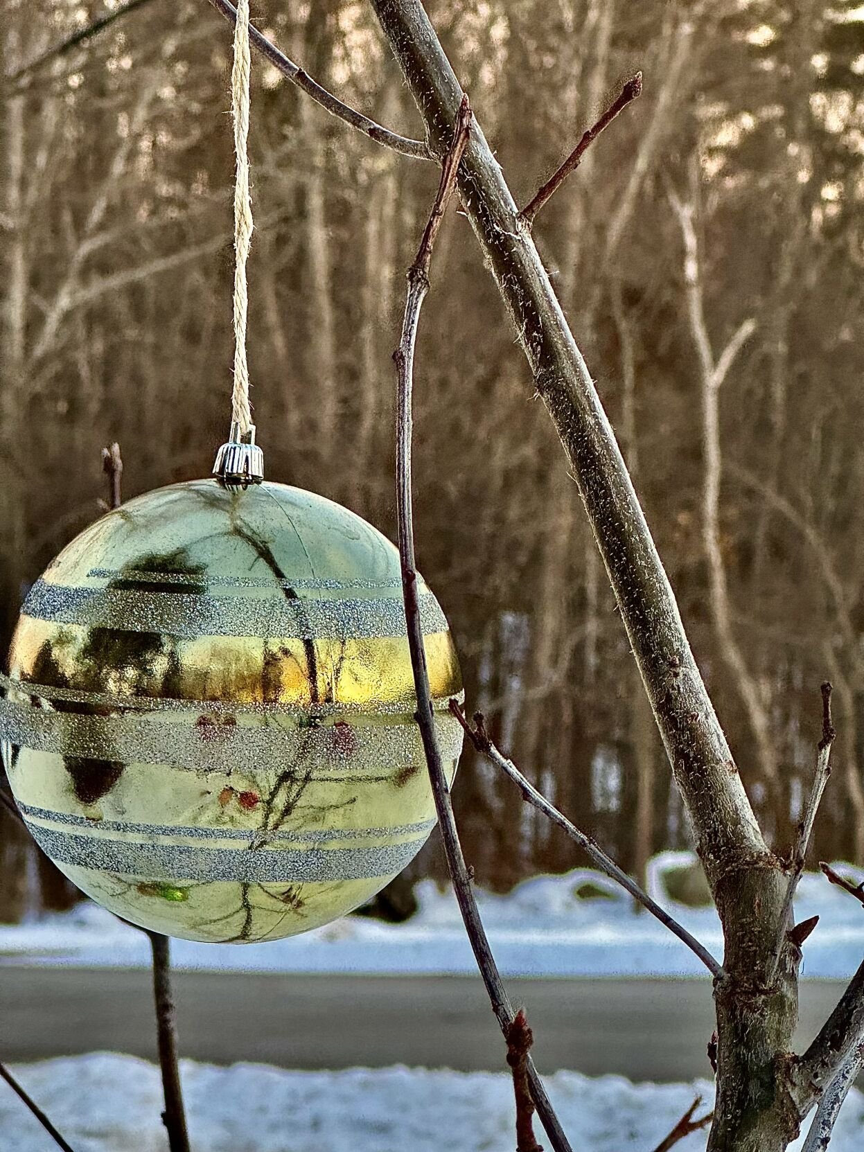 Reader Pics: Dec. 24