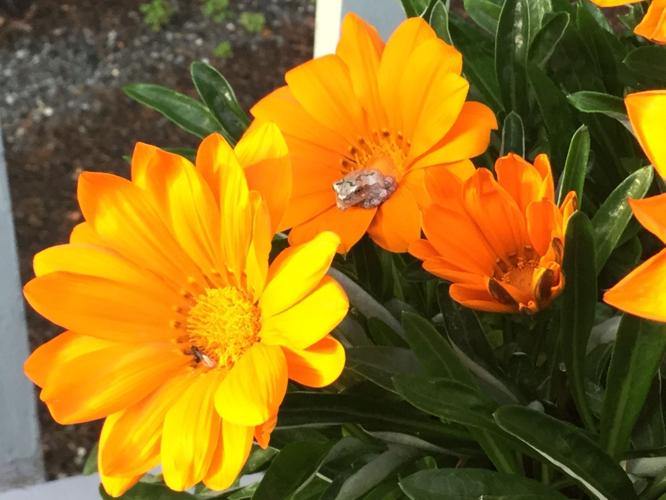 Reader Pics: Sept. 14