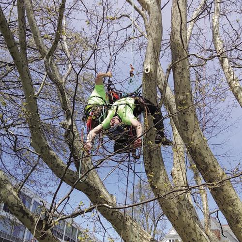 08-20 BIZ Aerial Rescue