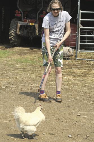 08-09 OUTDOOR farm-HockeyStick_InPixio.jpg