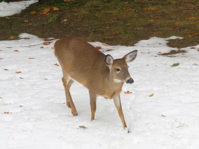 Reader Pics: March 31