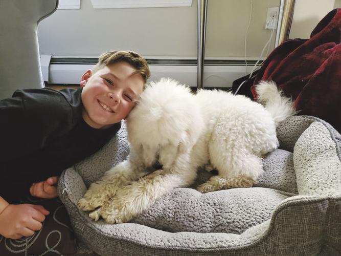 Levi Fernandez and Dash