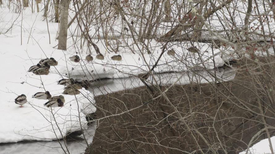 Reader Pics: April 8