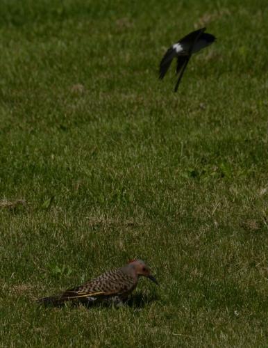 Reader Pics: June 13