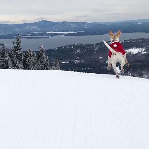 Reader Pics: Dec. 14