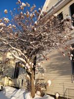 Reader Pics: March 8