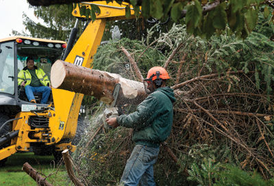 It’s official: Christmas tree in place near Laconia train station
