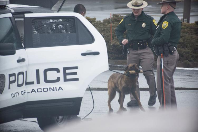 K9