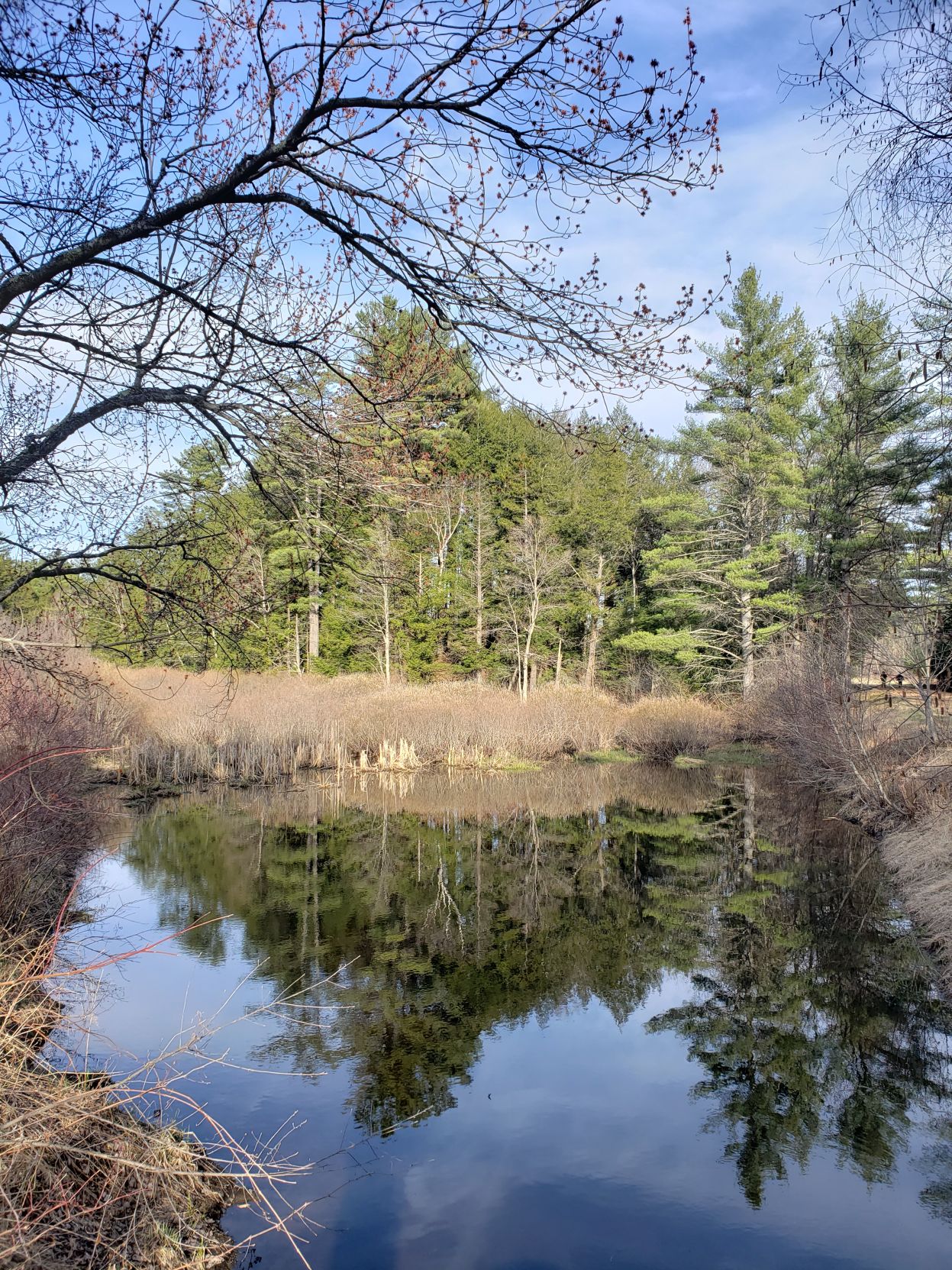 Village Spur Rail Trail