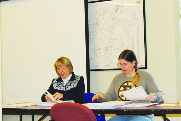 Ballot count volunteers