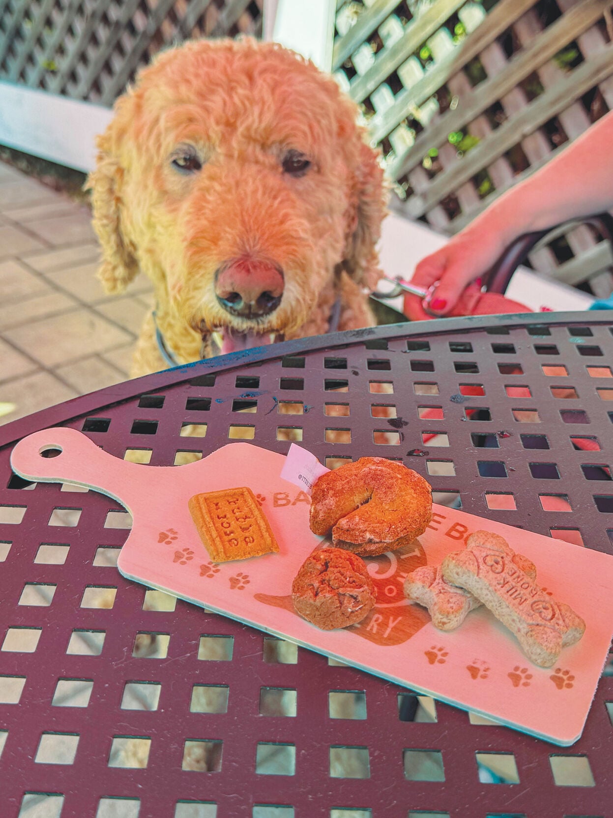 Barkcuterie Boards