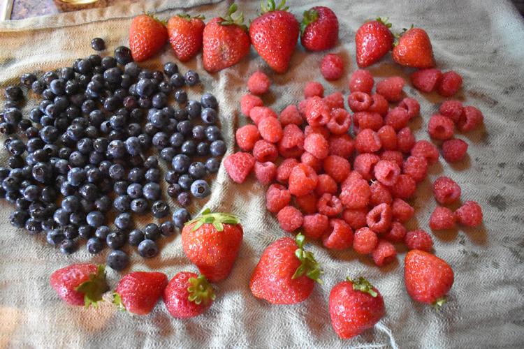 07-23 Foodie Fool berries