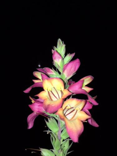 Reader Pics: Sept. 18