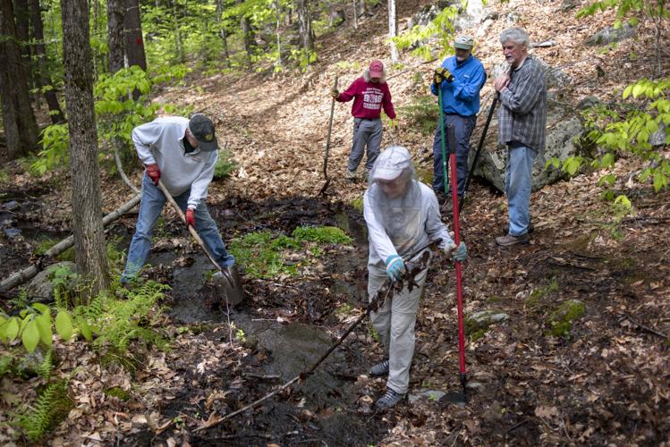 Clearing the trail
