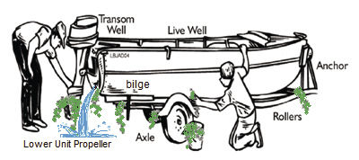 05 BOAT Photo 2 Clean drain and dry image.jpg