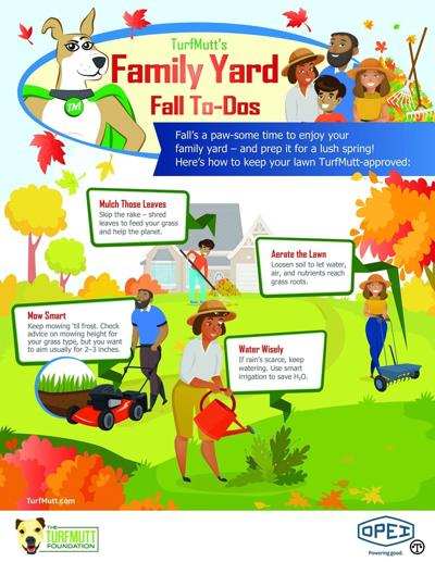 Family Yard Fall To-Dos