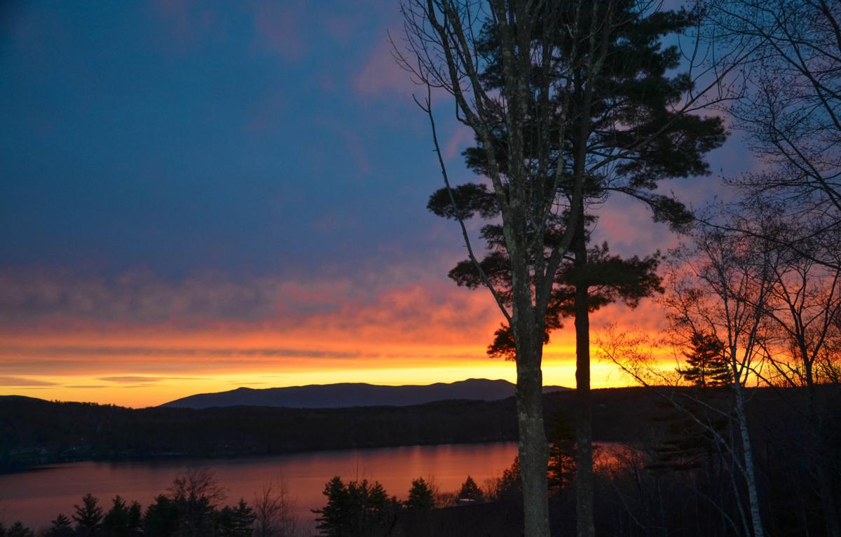 Reader Pics: May 8