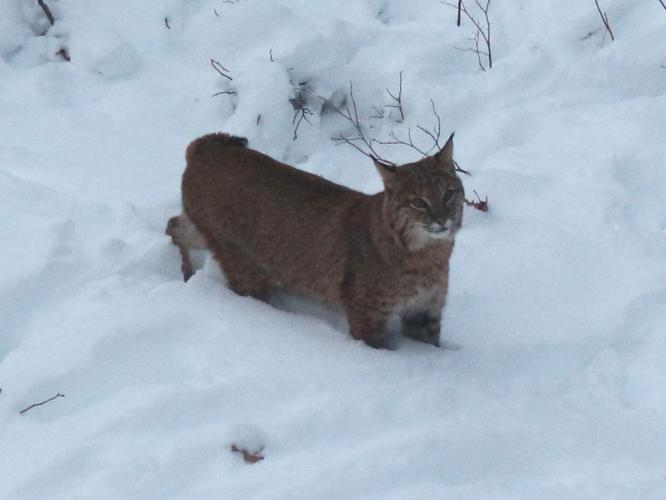 Reader Pics: Nov. 29