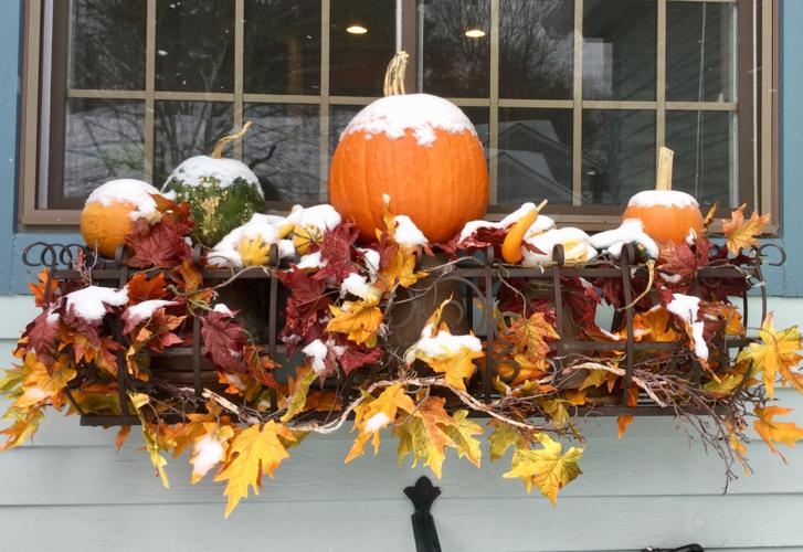 Reader Pics: Nov. 21