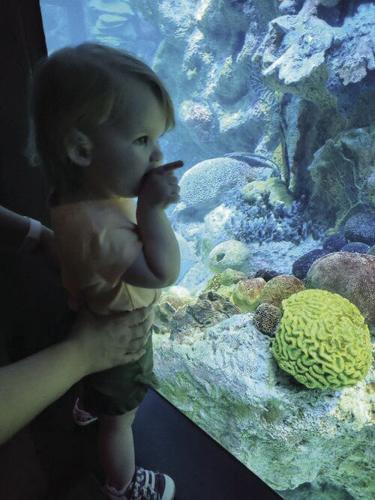 Aquarium