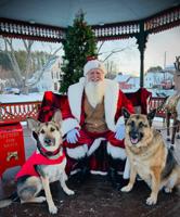 READER pics, reader-submitted shots of people, places, events, and scenery from around the Lakes Region