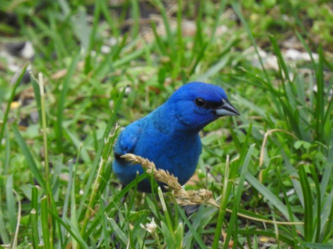 Reader Pics: June 25