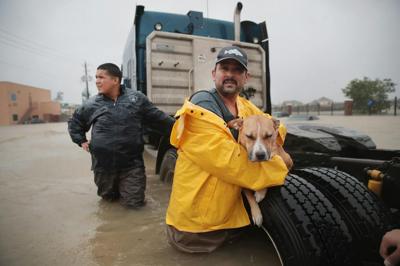 Hurricane Harvey dropped several feet of rain on Texas, stranding trucks, people and their pets.