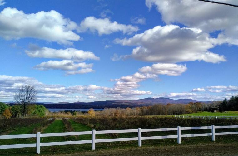 Reader Pics: Nov. 20