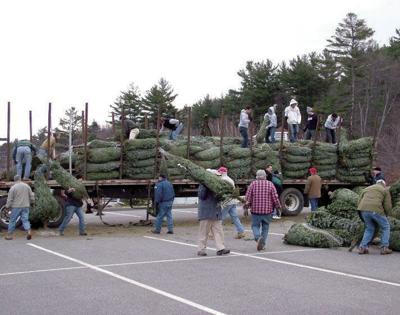 11-30 Gilford tree sale