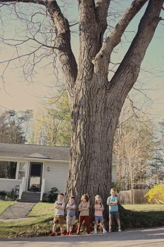 Reader Pics: April 14