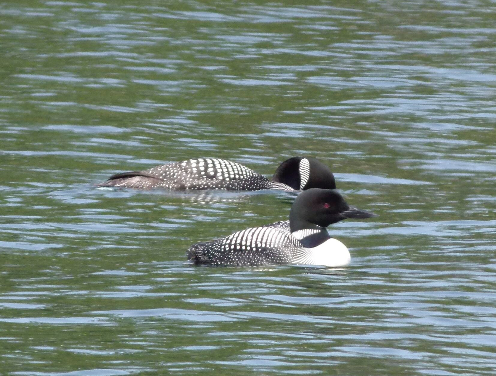 630f832769c40.image.jpg?crop=