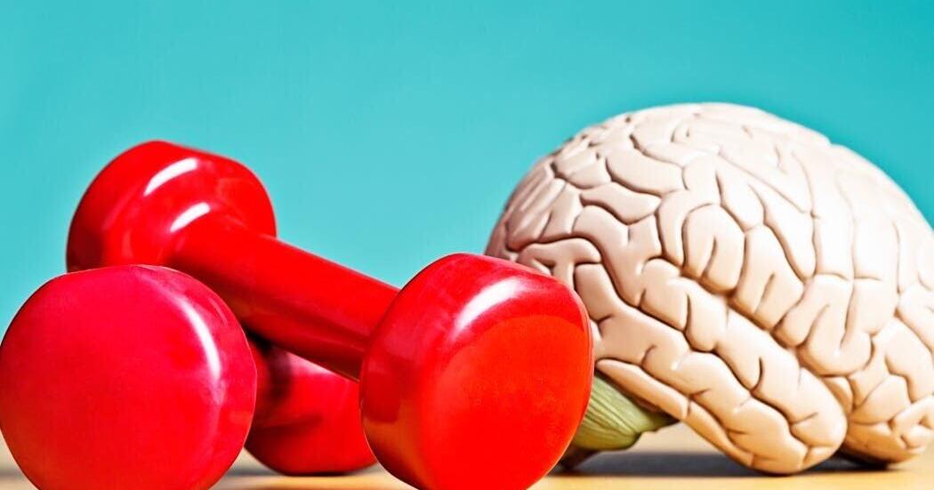 Your brain can be trained, much like your muscles – a neurologist explains how to boost your brain health
