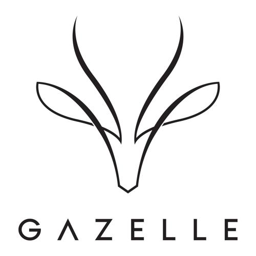 Bedrock Bioscience Introduces Gazelle™ Chair, Offering a Breakthrough Non-Invasive Solution for Bladder Control and Pelvic Floor Strength